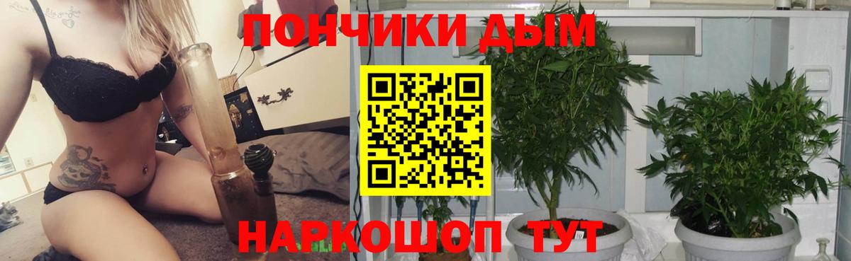 Бошки марихуана SATIVA & INDICA  Канабис план  Конопля ГИДРОПОН  Новоуральск  Вход с VPN 